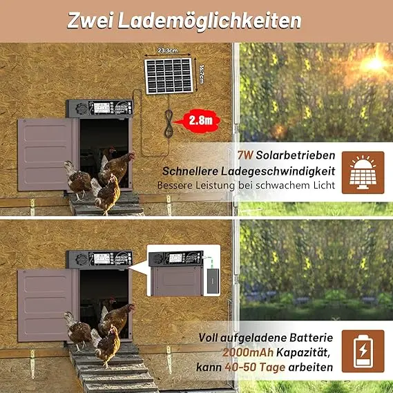 81SXgJGa7yL._AC_SX569_ 81SXgJGa7yL._AC_SX569_